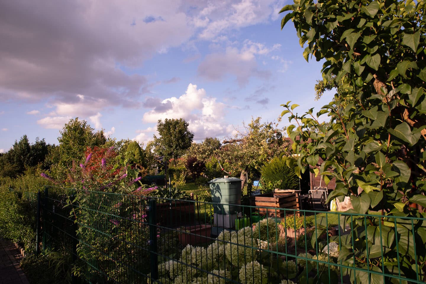 Wo Gemeinschaft Wurzeln schlägt: Sommerfest in der KGA ‚Zur Windmühle‘ 23